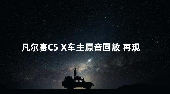 凡尔赛C5 X车主原音回放 再现调查现场